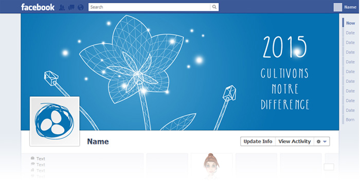 Visuel Header fleur voeux 2015 page Facebook