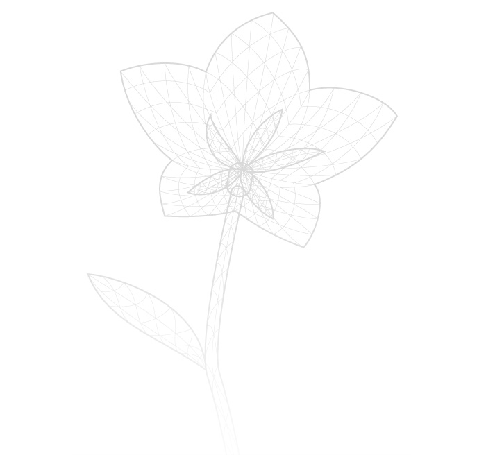 Visuel fleur voeux 2015