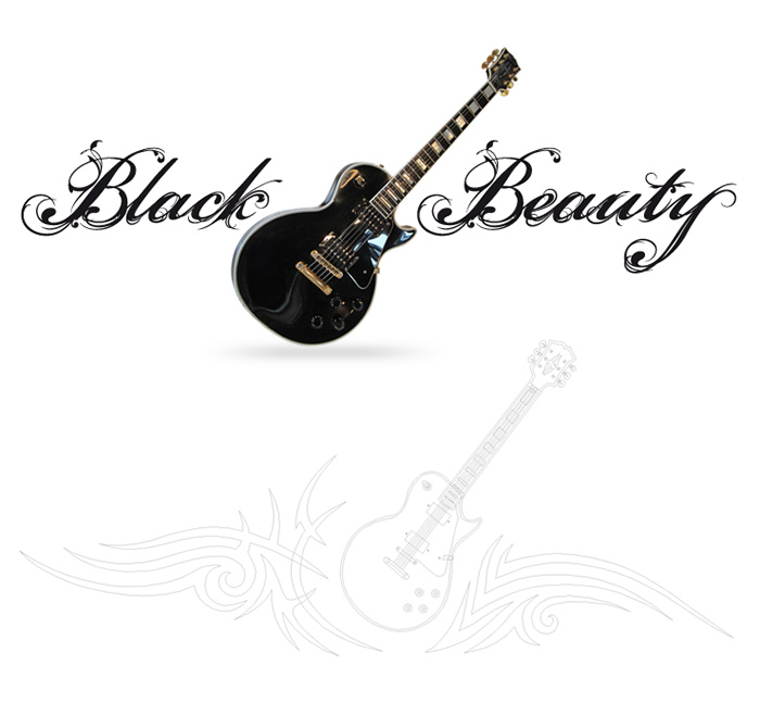 Visuel guitare Black Beauty