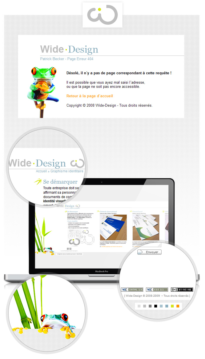 Visuel du site web 2008 wide-design